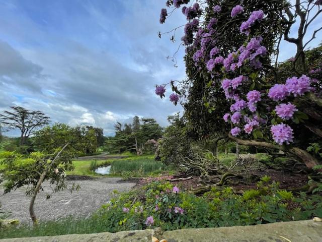 Apartment At Llanerchydol Hall Welshpool Ngoại thất bức ảnh